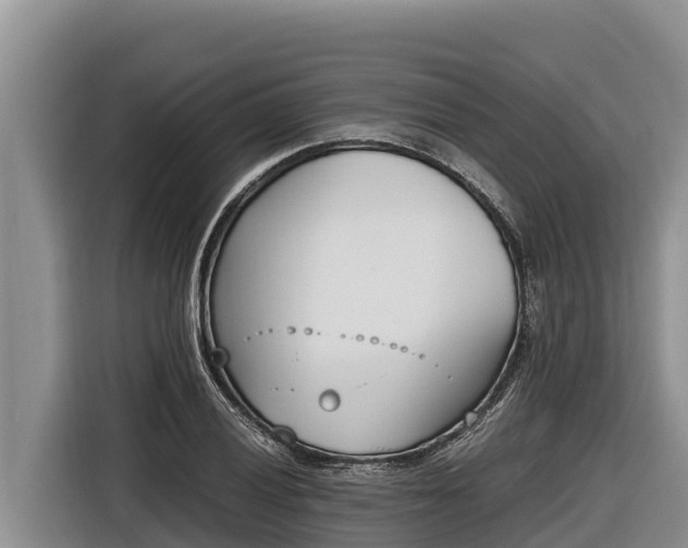 X0000116821028200912241236