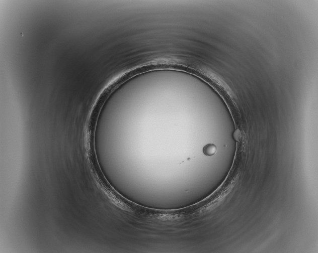 X0000116821029200912241237