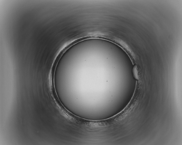 X0000116821032200912241237