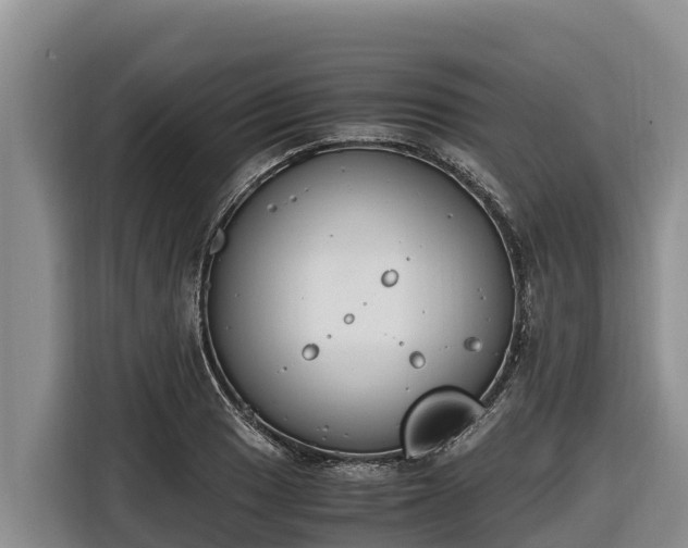 X0000116821033200912241237