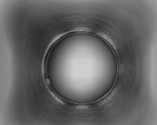 X0000116821037200912241237