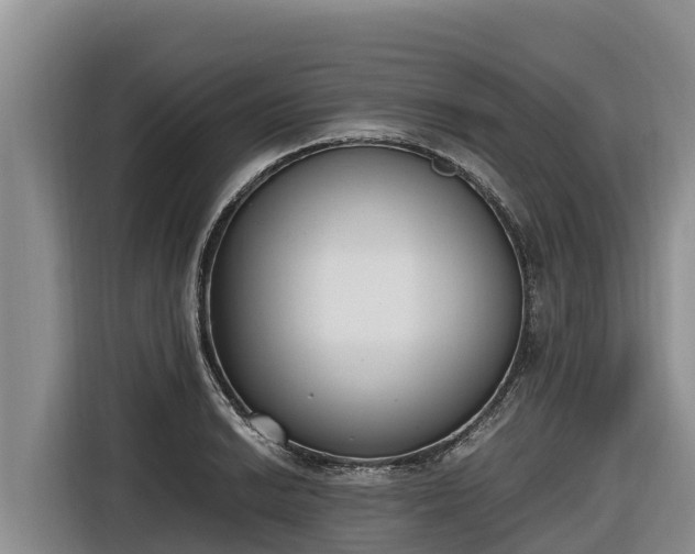 X0000116821038200912241237