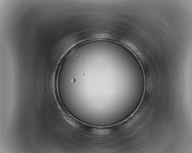 X0000116821039200912241237