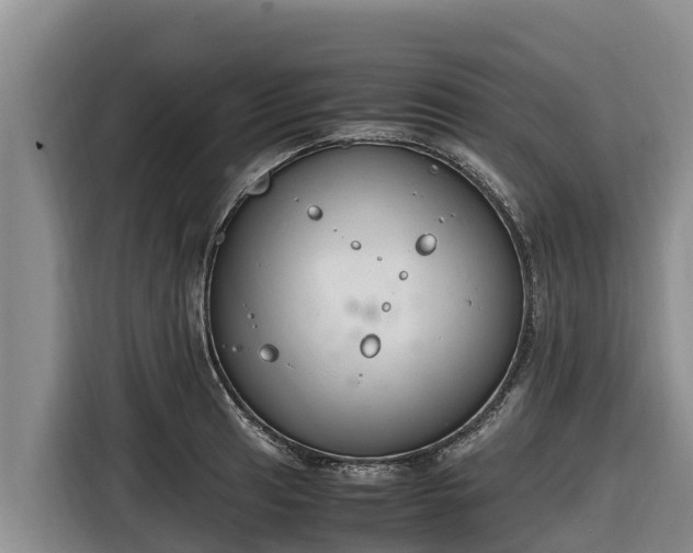 X0000116821041200912241237