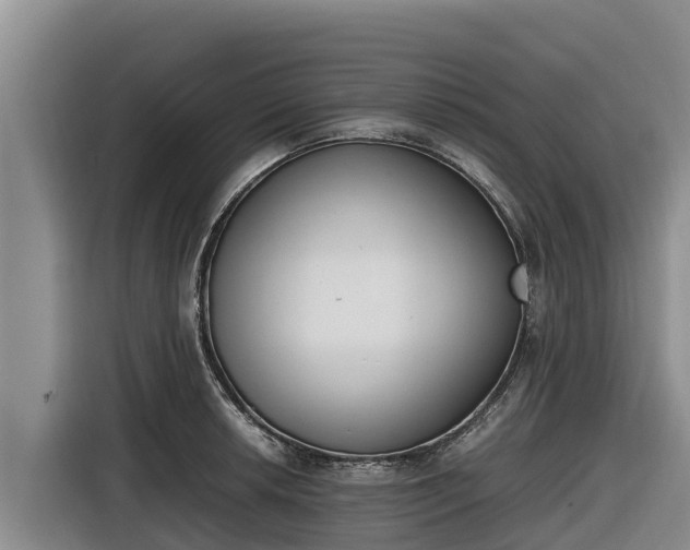 X0000116821042200912241237