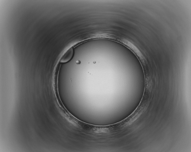 X0000116821043200912241237