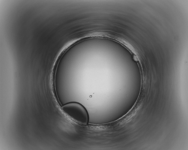 X0000116821045200912241237