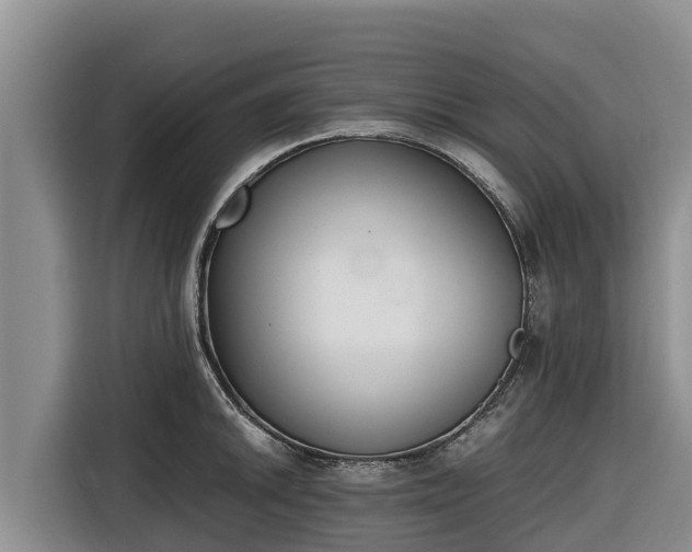 X0000116821046200912241237