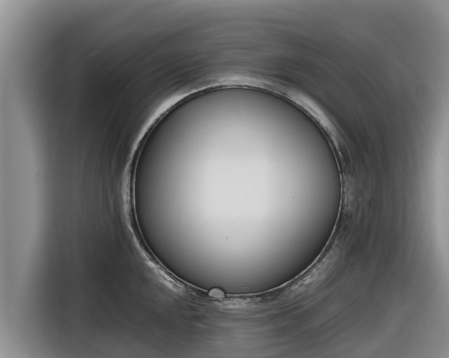 X0000116821048200912241237