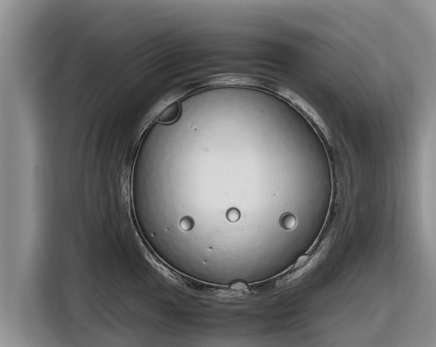 X0000116821049200912241237