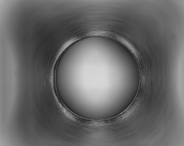 X0000116821050200912241237