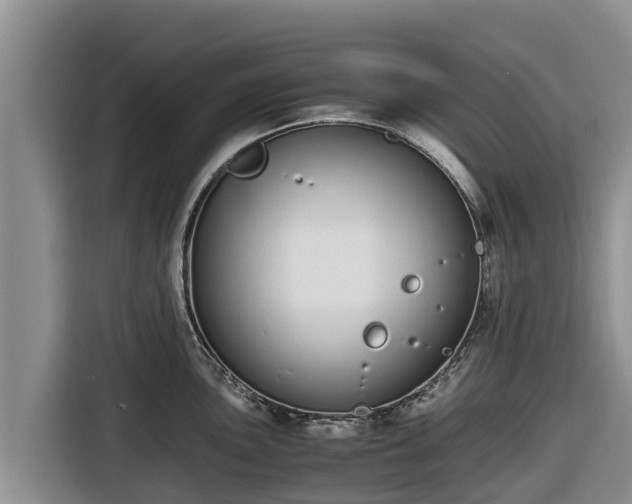 X0000116821051200912241237