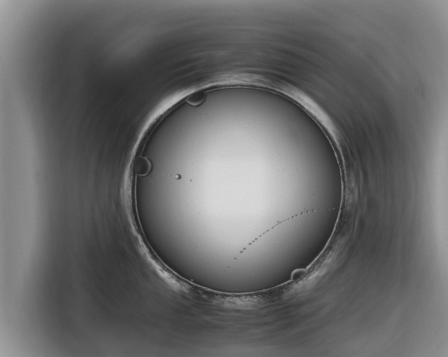 X0000116821053200912241237