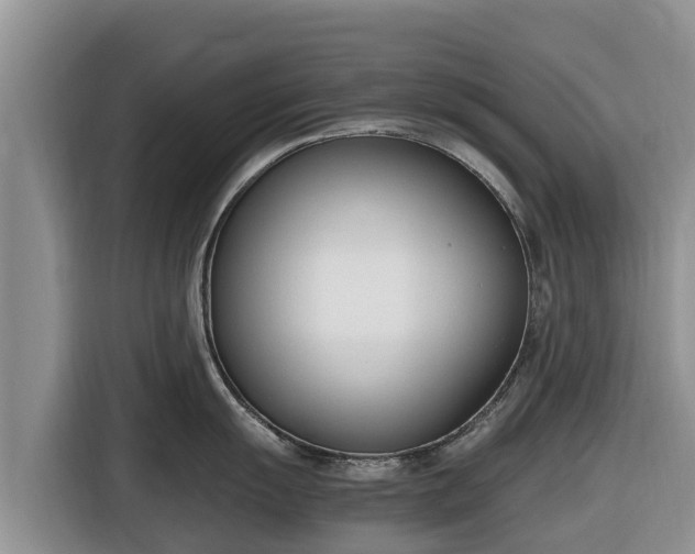 X0000116821055200912241237