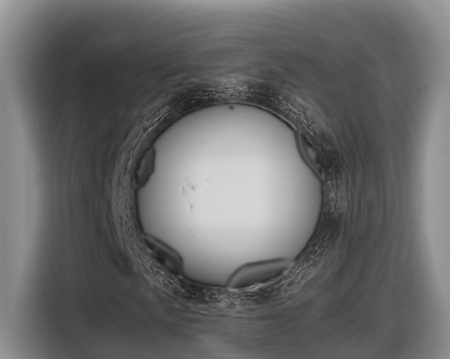 X0000116821057200912241236