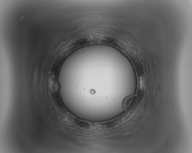 X0000116821059200912241236