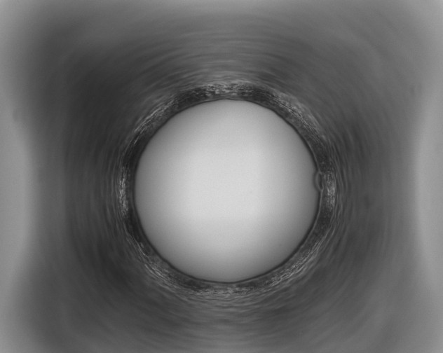 X0000116821060200912241236