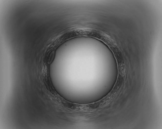 X0000116821061200912241236