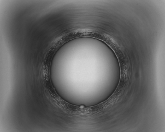 X0000116821062200912241236