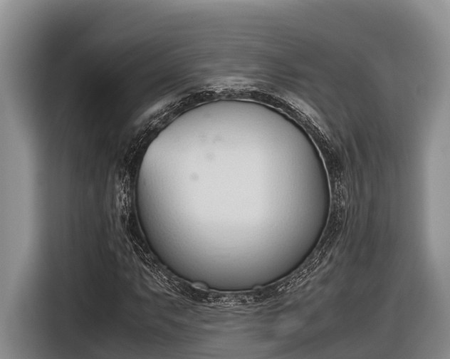 X0000116821063200912241236