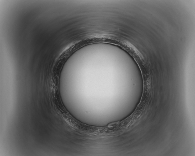 X0000116821064200912241236