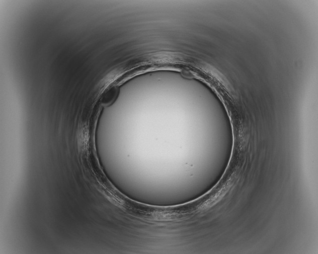 X0000116821065200912241236