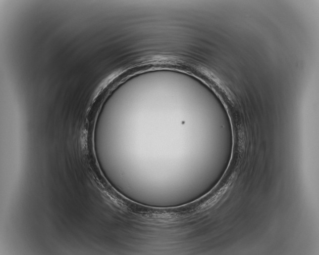 X0000116821066200912241236