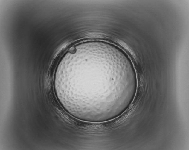 X0000116821067200912241236