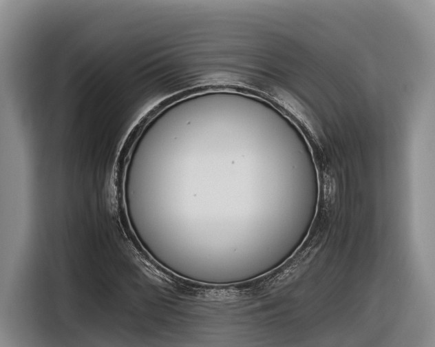 X0000116821068200912241236