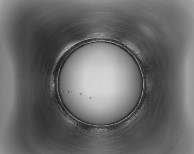 X0000116821070200912241236