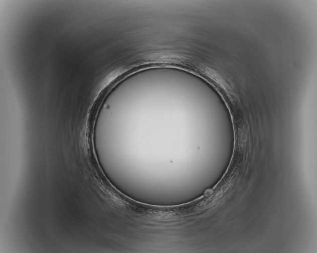 X0000116821071200912241236