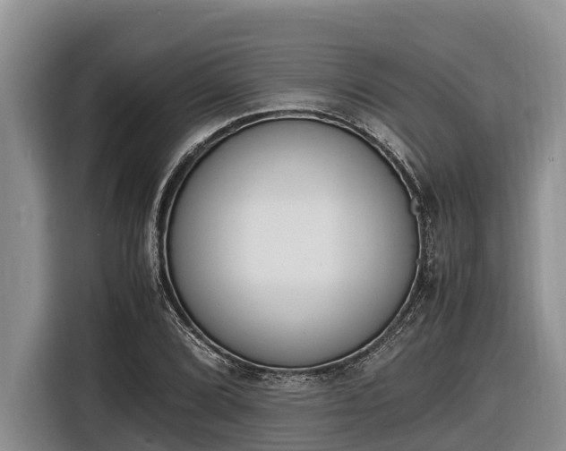 X0000116821072200912241236