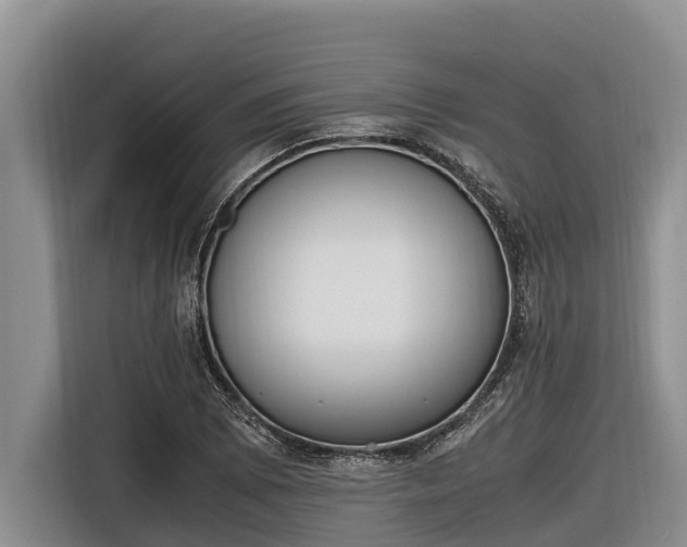 X0000116821073200912241236