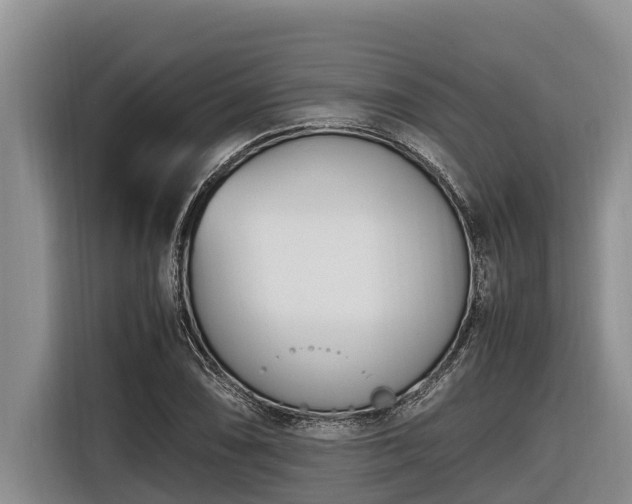 X0000116821074200912241236