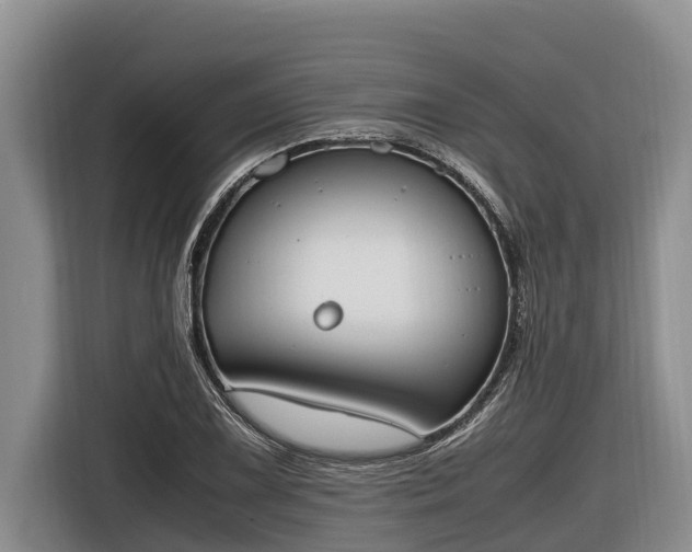 X0000116821075200912241236