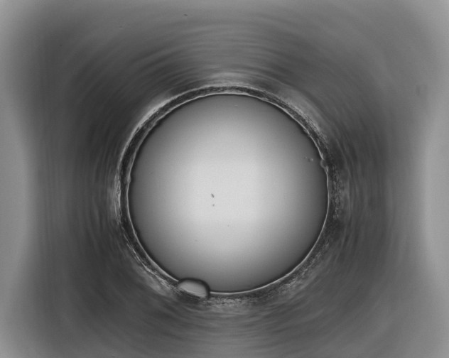 X0000116821076200912241236