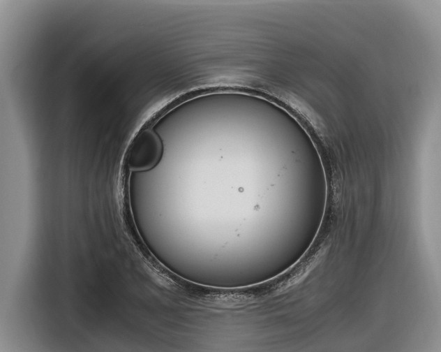 X0000116821077200912241236