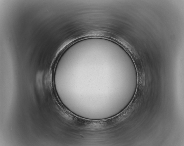 X0000116821078200912241236