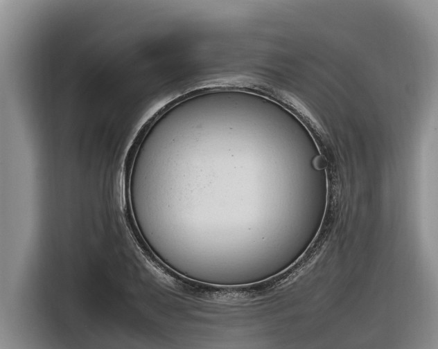 X0000116821079200912241236