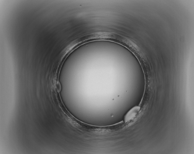 X0000116821081200912241236