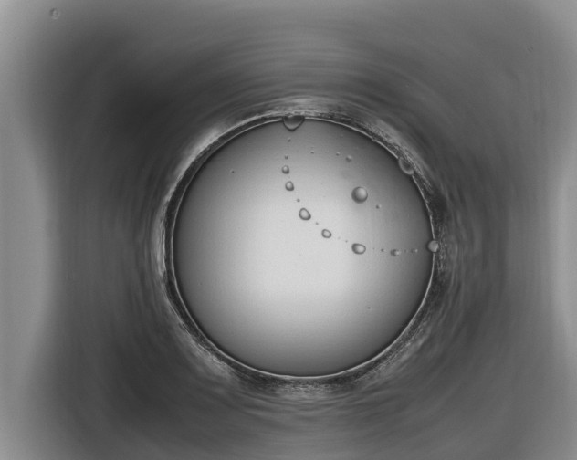 X0000116821083200912241236