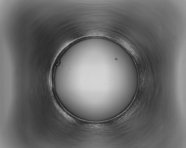 X0000116821084200912241236