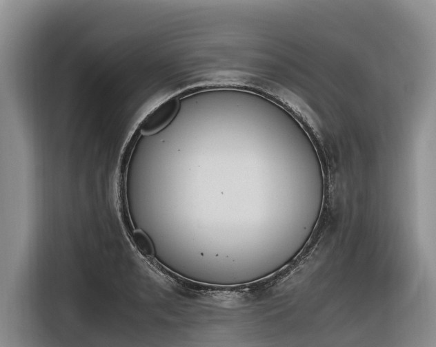 X0000116821085200912241236