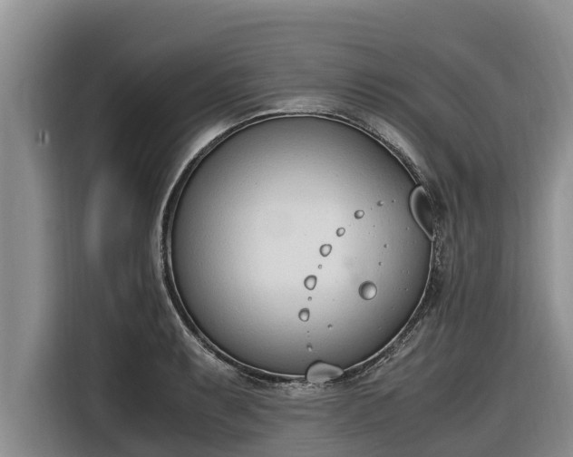 X0000116821087200912241236