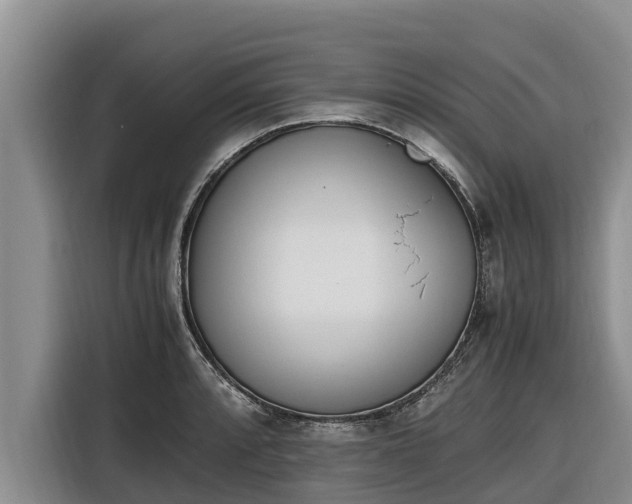 X0000116821088200912241236