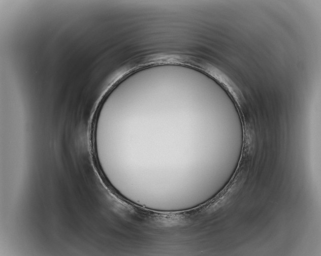 X0000116821090200912241236