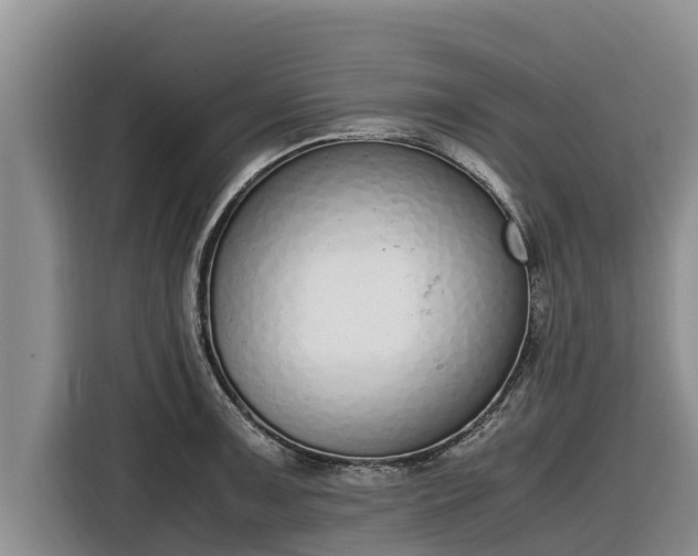 X0000116821091200912241236