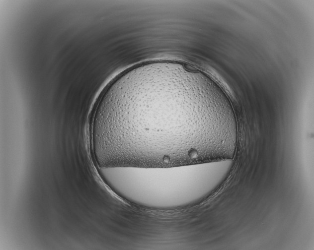 X0000116821092200912241236