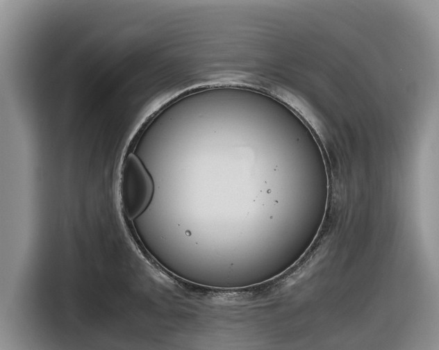 X0000116821093200912241236