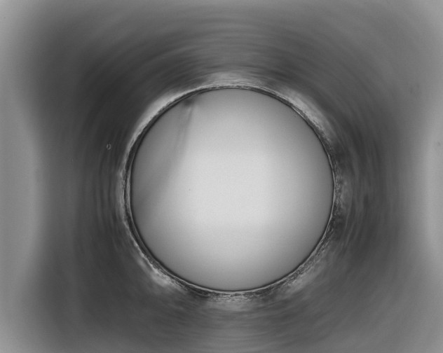 X0000116821094200912241236